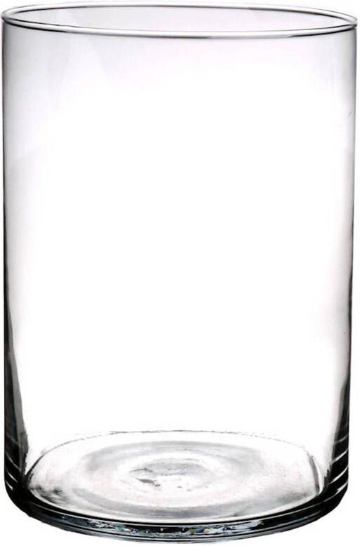 Merkloos Cilinder vaas vazen van glas D18 x H25 cm transparant Vazen