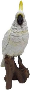 Merkloos Polystone vogel dierenbeeld witte kaketoe Decoratie beeldje witte kaketoe 25 cm Beeldjes