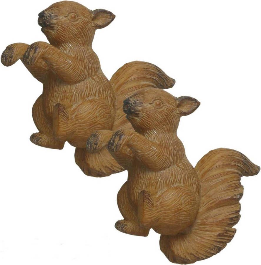 Merkloos Eekhoorn squirrel Pothanger 16 x 15 x 7 cm Bruin Set van 2 Stuks