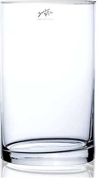 Merkloos Glazen vaas transparant 15 x 25 cm Vazen