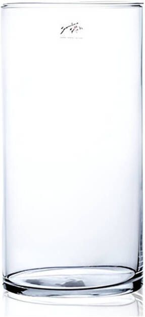 Merkloos Glazen vaas transparant 15 x 30 cm Vazen