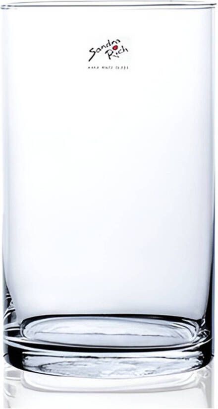 Merkloos Glazen vaas transparant 19 x 30 cm Vazen