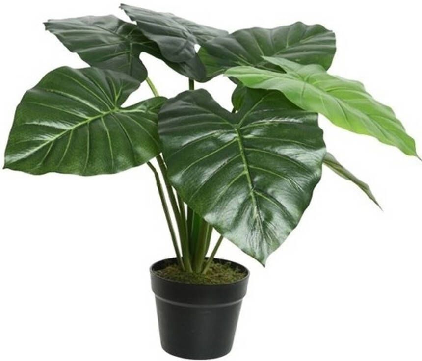 Merkloos Groene Colocasia taro kunstplant 52 cm in zwarte pot Kunstplanten nepplanten Kantoorplanten Kunstplanten