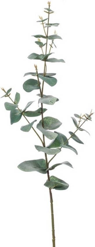 Merkloos Groene Eucalyptus kunsttak kunstplant 68 cm Kunstplanten kunsttakken Kunstbloemen boeketten Kunstbloemen