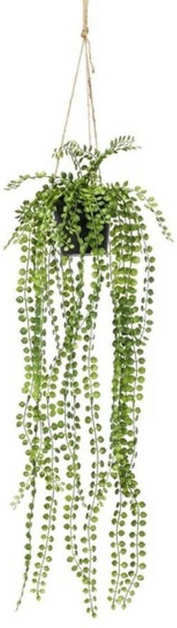 Merkloos Groene Ficus Pumila kunstplant 60 cm in hangende pot Kunstplanten