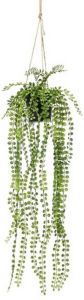 Merkloos Groene Ficus Pumila Kunstplant 60 Cm In Hangende Pot Kunstplanten nepplanten