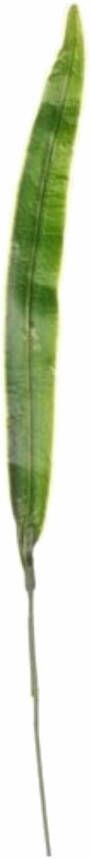 Merkloos Kunstplant tak Gladioolblad bladgroen 40 cm Kunstbloemen