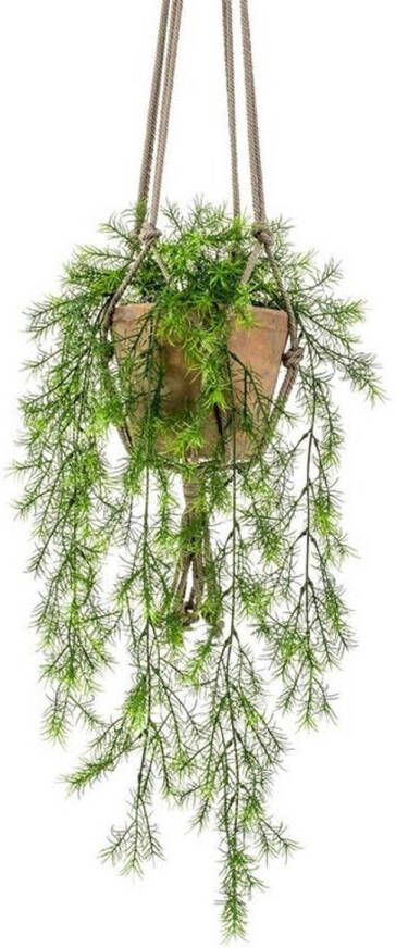 Merkloos Kunst hangplant varen in oude terracotta pot 16 cm Kunstplanten