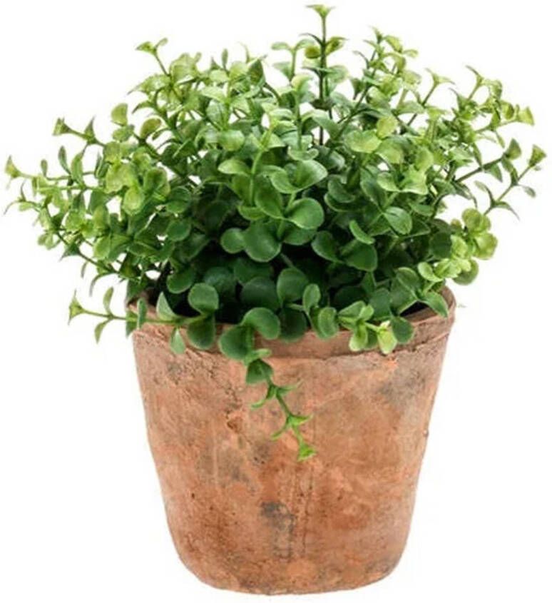 Merkloos Kunstplant eucalyptus groen in pot 20 cm Kamerplant groene eucalyptus Kunstplanten