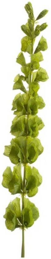 Merkloos Kunstplanten Molucella takken 80 cm groen kunstbloemen takken Kunstbloemen