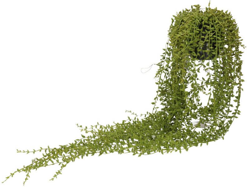 Merkloos Groene Senecio erwtenplant kunstplant 70 cm in hangende pot Kunstplanten nepplanten Kunstplanten