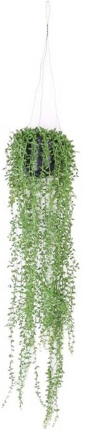 Merkloos Groene Senecio erwtenplant kunstplant 70 cm in hangende pot Kunstplanten nepplanten