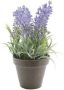 Merkloos Groen paarse Lavendula lavendel kunstplant 17 cm in zwarte pot Kunstplanten - Thumbnail 2