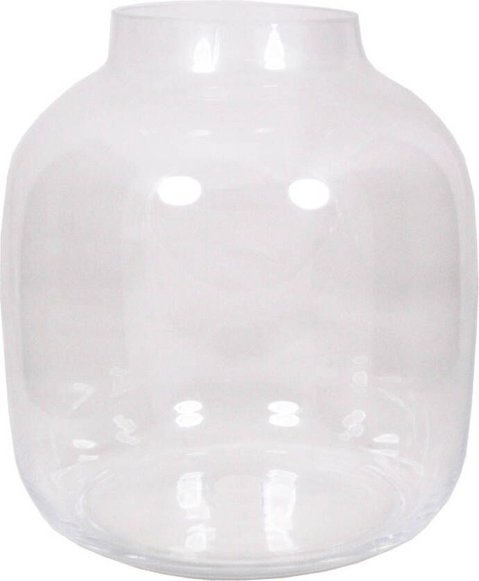 Merkloos Ronde vaas helder glas 29 cm Bolvormige bloemenvazen van glas Vazen