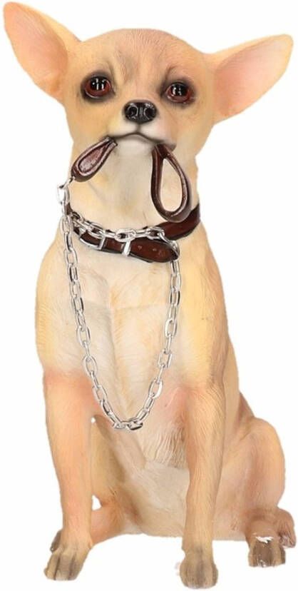 Merkloos Honden beeldje Chihuahua met riem 18 cm Beeldjes