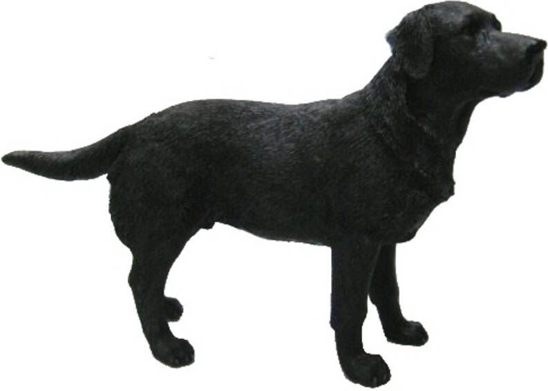 Merkloos Honden beeldje Labrador zwart 14 cm Beeldjes