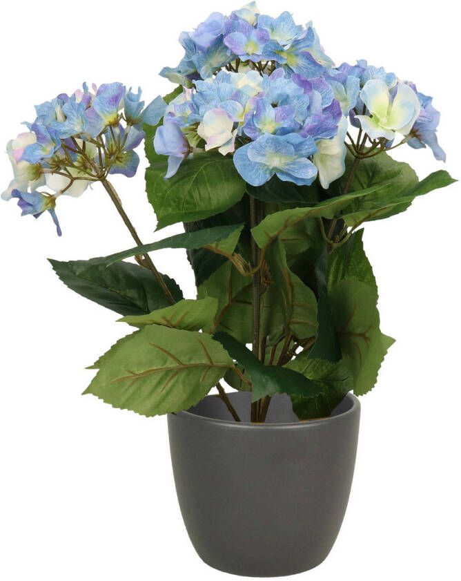 Merkloos Hortensia kunstplant met bloemen blauw in pot antraciet 40 cm hoog Kunstplanten