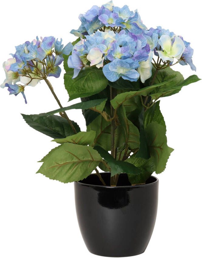 Merkloos Hortensia kunstplant met bloemen blauw in pot zwart 40 cm hoog Kunstplanten