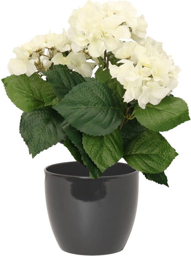 Merkloos Hortensia kunstplant met bloemen wit in pot antraciet grijs 40 cm hoog Kunstplanten