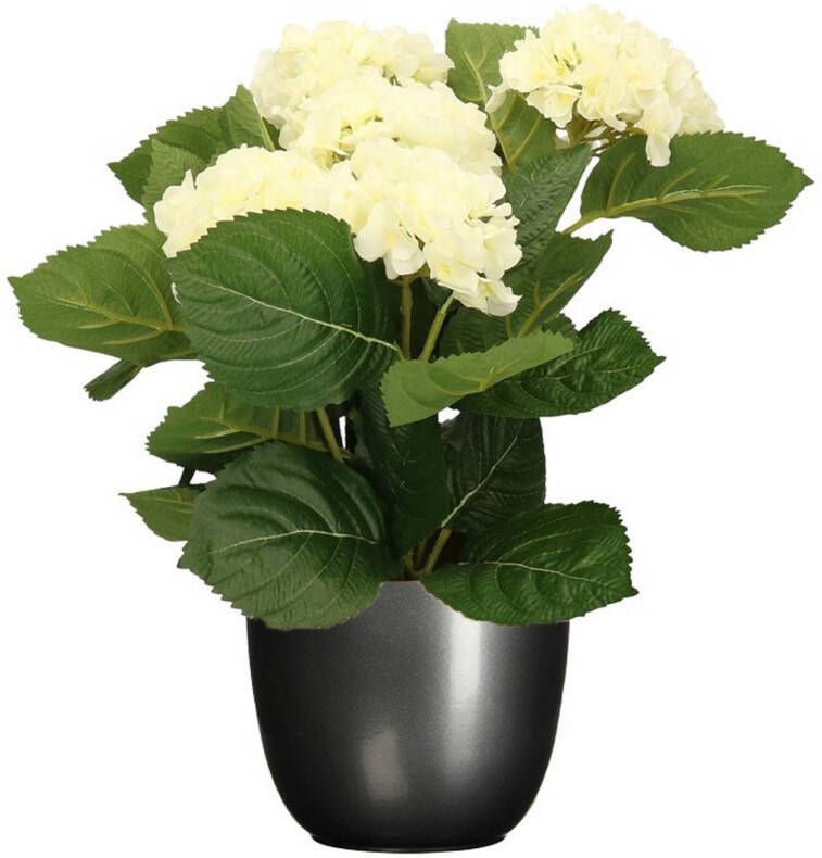 Merkloos Hortensia kunstplant kunstbloemen 36 cm wit in pot titanium grijs glans Kunstplanten