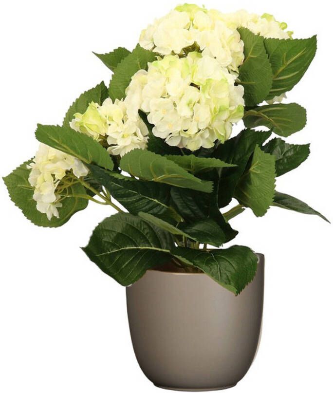 Merkloos Hortensia kunstplant kunstbloemen 36 cm wit groen in pot taupe mat Kunstplanten