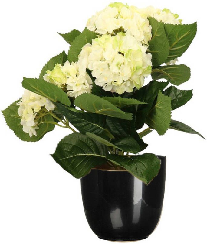 Merkloos Hortensia kunstplant kunstbloemen 36 cm wit groen in pot zwart glans Kunstplanten