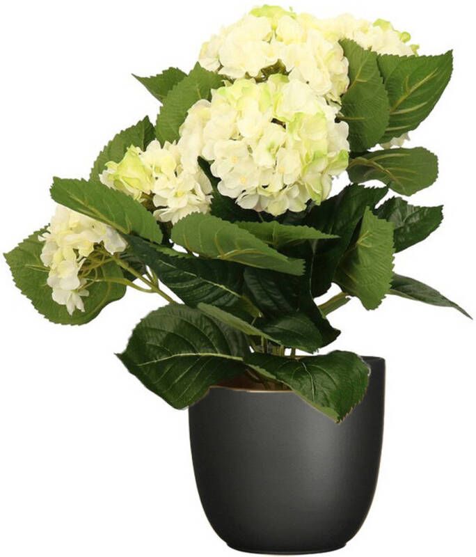 Merkloos Hortensia kunstplant kunstbloemen 36 cm wit groen in pot zwart mat Kunstplanten