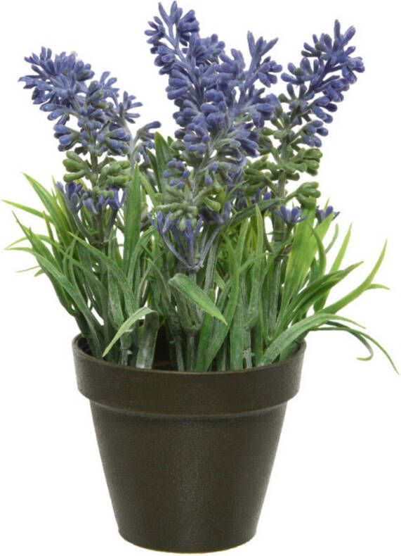 Merkloos Groen paarse Lavendula lavendel kunstplant 17 cm in zwarte pot Kunstplanten