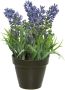 Merkloos Groen paarse Lavendula lavendel kunstplant 17 cm in zwarte pot Kunstplanten - Thumbnail 1