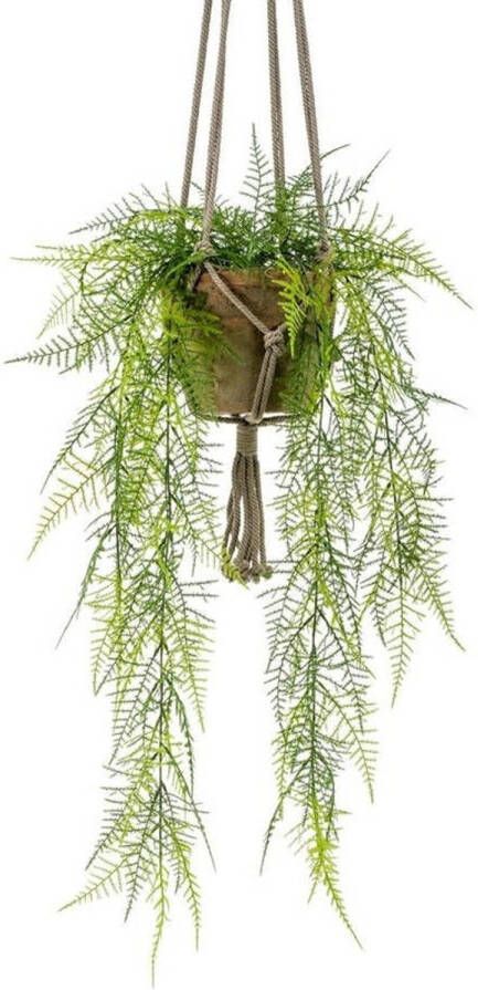 Merkloos Kunst hangplant Varen in oude terracotta pot 16 cm hangende kunst plant in pot Kunstplanten
