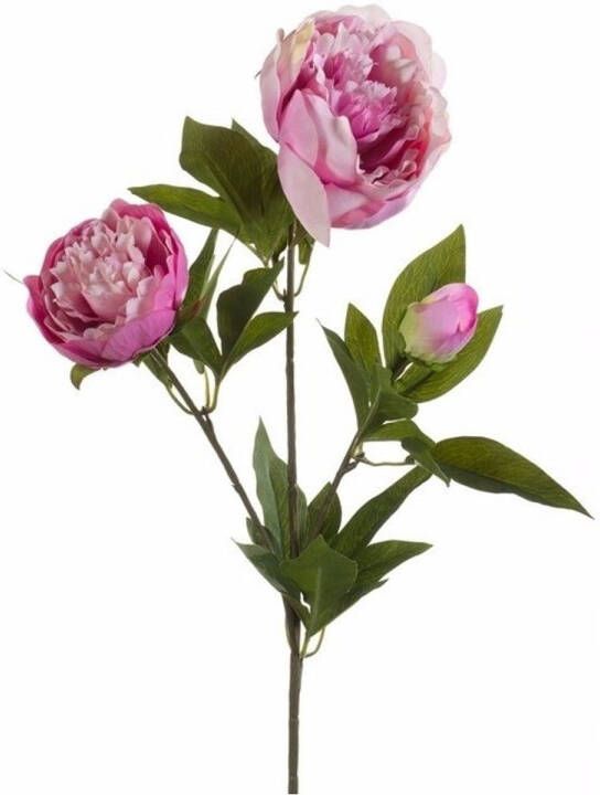 Emerald Kunstbloem pioenrozen tak 3 bloemen roze 70 cm decoratie Kunstbloemen