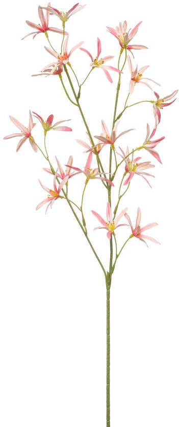 Merkloos Kunstbloem Star Flower 70cm roze