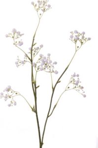 Merkloos Kunstbloemen Gipskruid Gypsophila takken wit 66 cm Kunstplanten en steelbloemen Kunstbloemen