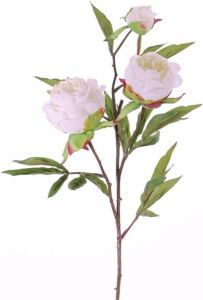 Merkloos Kunstbloemen pioenrozen takken wit 73 cm Kunstplanten rozen roos Kunstbloemen