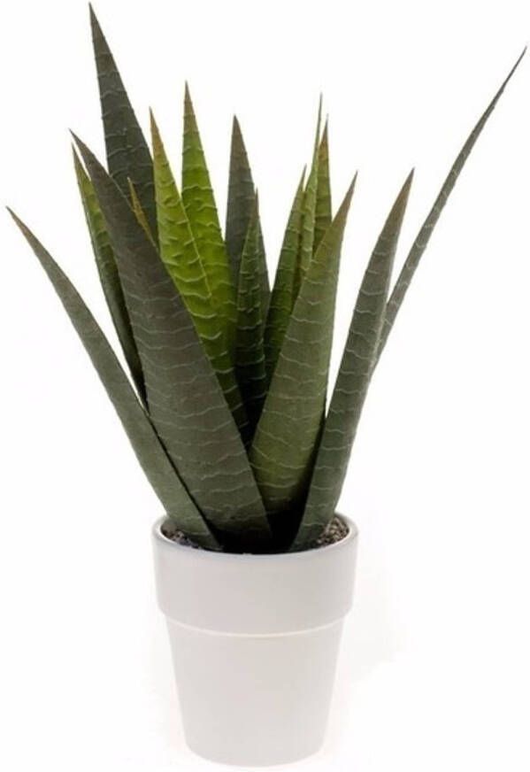 Merkloos Aloe Vera kunstplant 35 cm met pot Kunstplanten