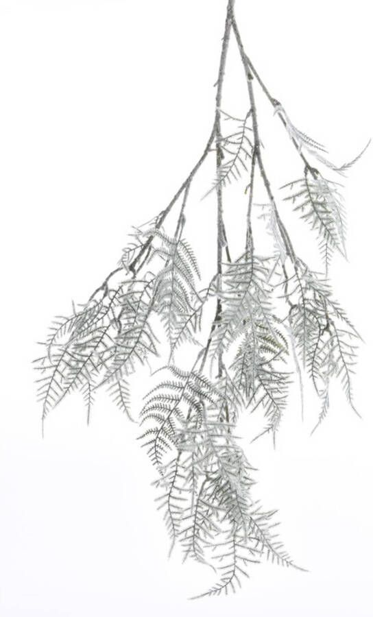 Merkloos Kunstplant Asparagus tak met sneeuw 100 cm Kunstplanten