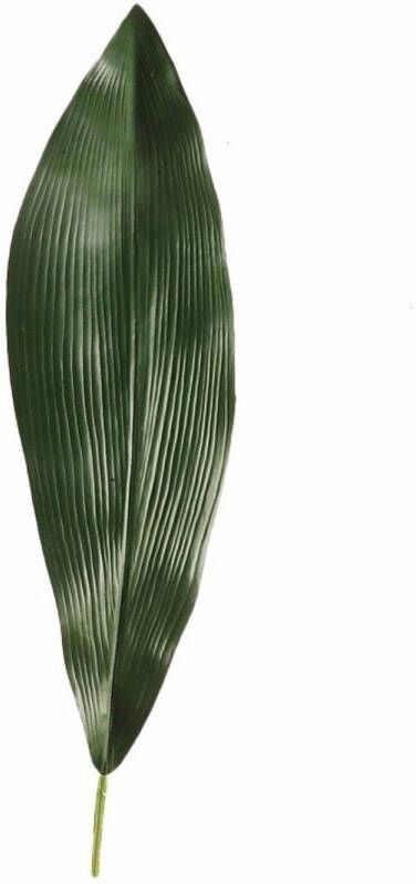 Merkloos Kunstplant Aspidistra blad 75 cm donkergroen Kunstplanten