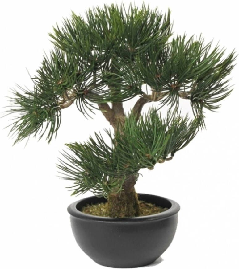 Merkloos Kunstplant Bonsai boompje Pinus Deniflora kunst kamerplant 33 cm Kunstplanten