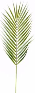 Merkloos Kunstplant Chamaedorea palm blad 75 cm Kamerplant kunstplanten nepplanten Palm bladeren Kunstbloemen