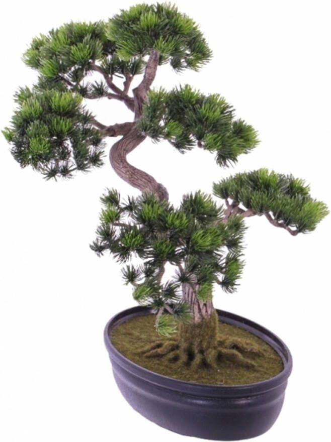 Merkloos Kunstplant Japanse Den bonsai 40 cm Kunstplanten
