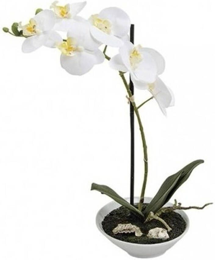 Merkloos Kunstplanten in pot witte orchidee 38 cm Witte Phalaenopsis in bloempot 38 cm Kunstplanten