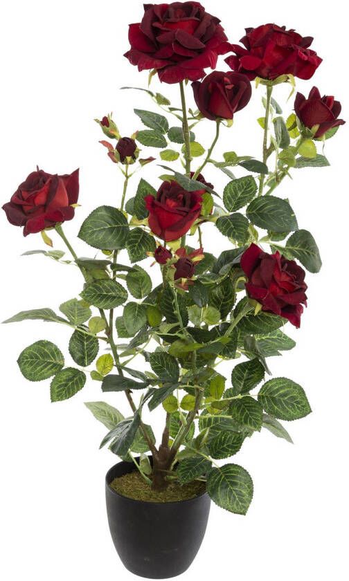 Merkloos Kunstplant rozenstruik Velvet H74cm