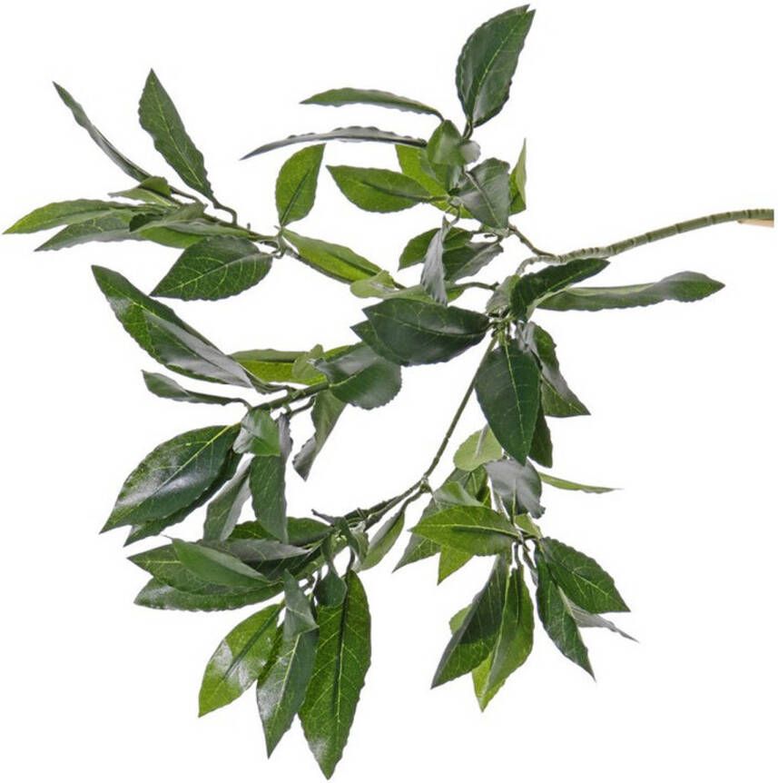 Merkloos Kunstplant takken laurierblad tak groen van 48 cm Boeketten maken kunstplanten Kunstbloemen