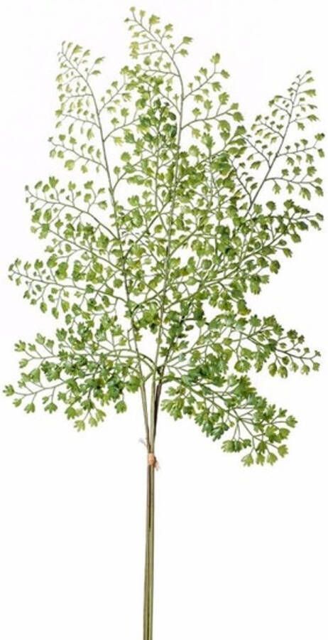 Merkloos Kunstplant takken venushaar tak van 58 cm groen voor in een boeket Kunstplanten