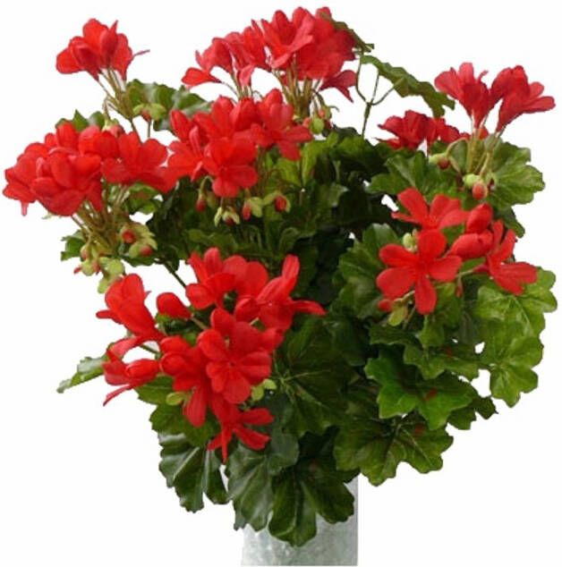 Merkloos Kunstplanten Oostenrijkse Geranium rood 40 cm Kunstplanten met bloemen Kunstplanten