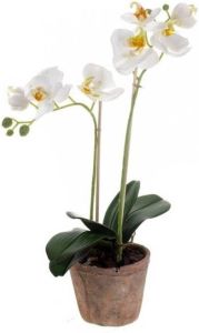 Merkloos Kunstplanten Orchidee wit 42 cm in pot Decoratie planten voor thuis of op kantoor Kunstplanten