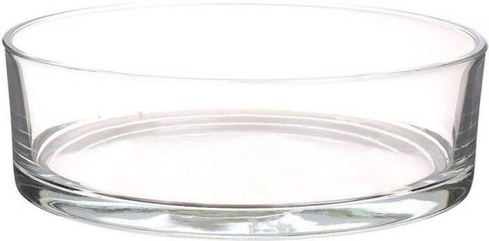 Merkloos Lage glazen schaal transparant glas cilindervormig 8 x 25 cm Vazen