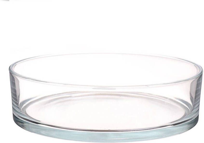 Merkloos Lage schaal vaas transparant rond glas 8 x 29 cm cilindervormig glazen vazen woonaccessoires