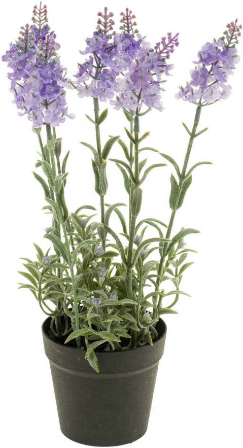 Merkloos Lila paarse lavendel Lavandula kunstplant in kunststof pot 28 cm Kunstplanten