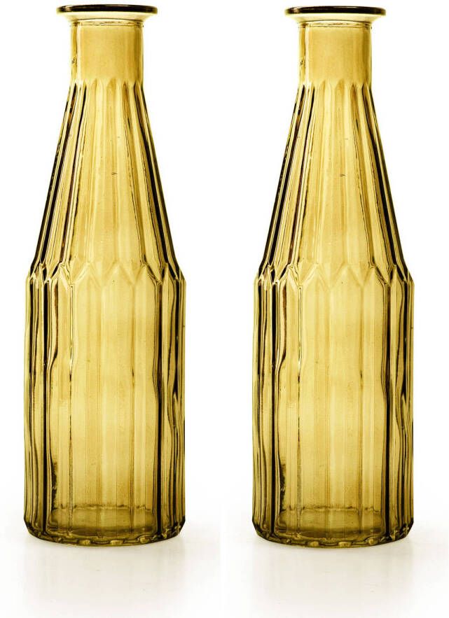 Merkloos odeco Bloemenvaas Marseille 2x Fles model glas geel H25 x D7 cm Vazen